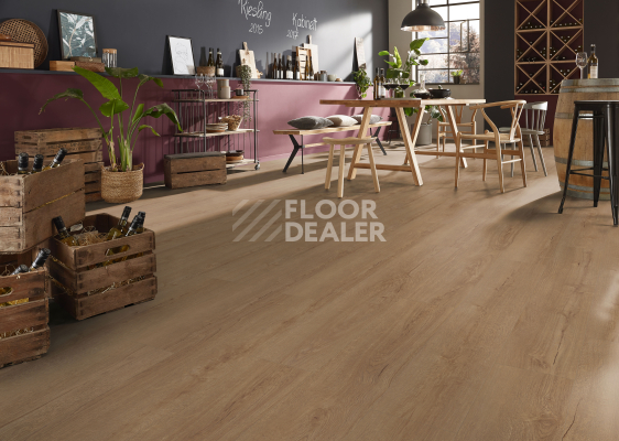 Ламинат Kronotex Exquisit 8мм d41212 Дуб Горизонт шоколад фото 2 | FLOORDEALER